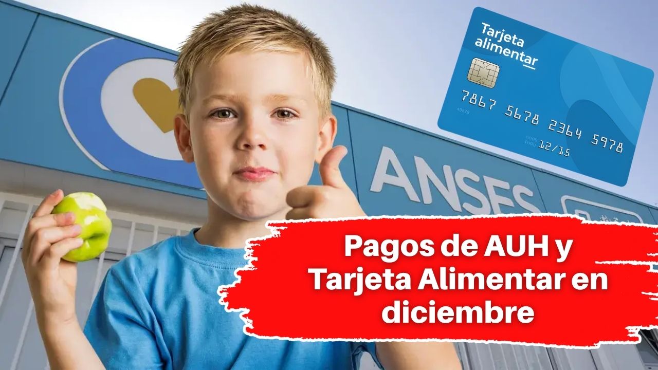 Pagos de AUH y Tarjeta Alimentar en diciembre: importes confirmados y novedades oficiales